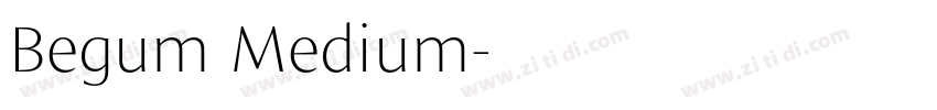 Begum Medium字体转换